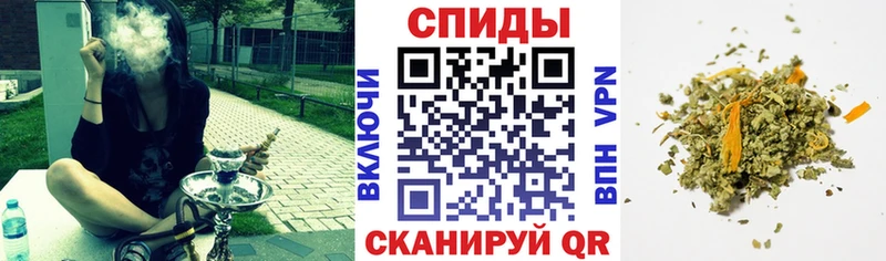 Купить где  Саяногорск  Бутират BDO 