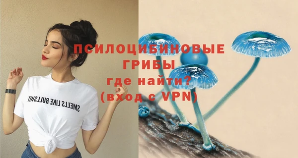 эйфоретик Алзамай