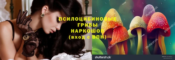 эйфоретик Алзамай